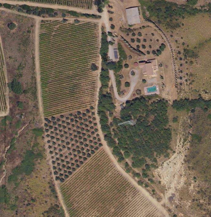 Aerial view of the estate: the olive grove between the vineyard blocks, with the casale and pool