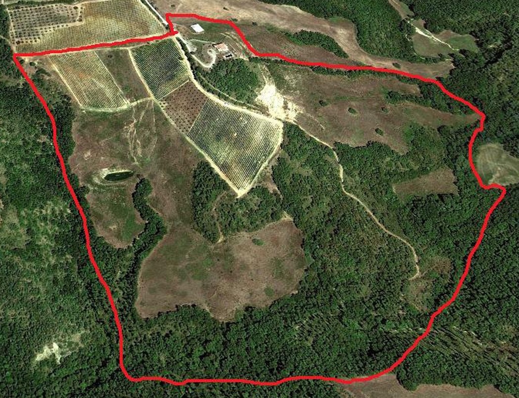 Aerial view with the estate boundary marked in red: vineyard blocks, olive grove, arable land and woodland
