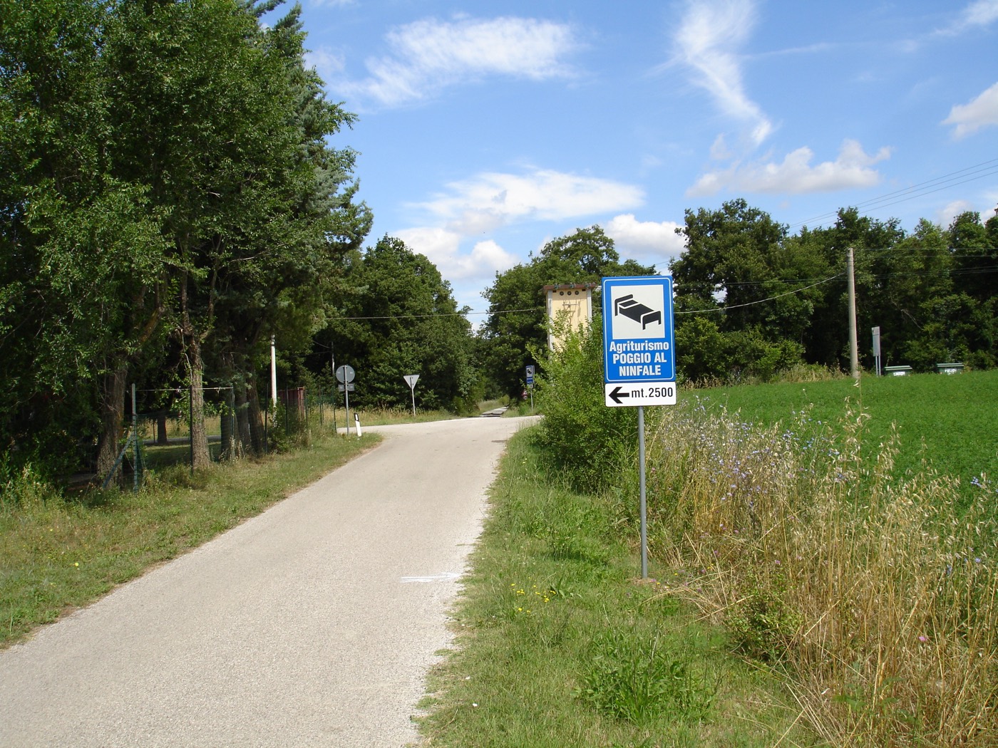 Cypress-lined approach road